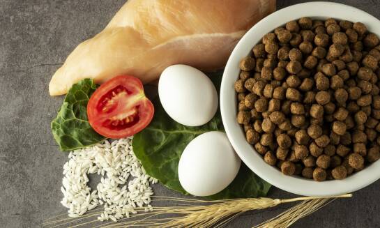 Rola diety w zarządzaniu cukrzycą