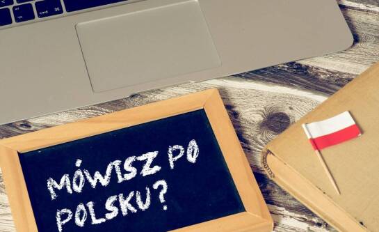 Jakie są najważniejsze zasady tworzenia planu pracy dyplomowej przy pomocy ekspertów?