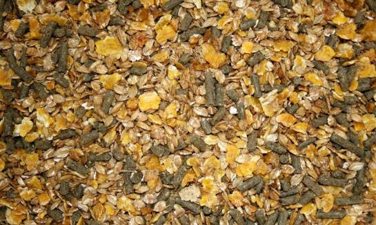 Wielozbożowy pellet a rozwój innowacyjnych form przekąsek