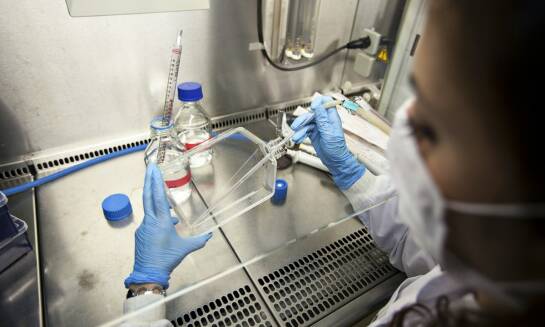 Wpływ jakości materiałów na skuteczność dezynfekcji wody