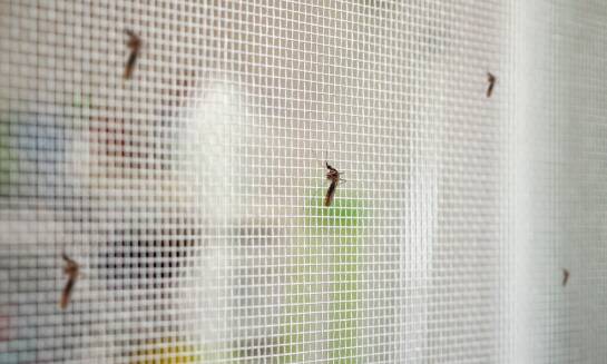 Ramkowe moskitiery okienne a ochrona przed insektami – co warto wiedzieć?