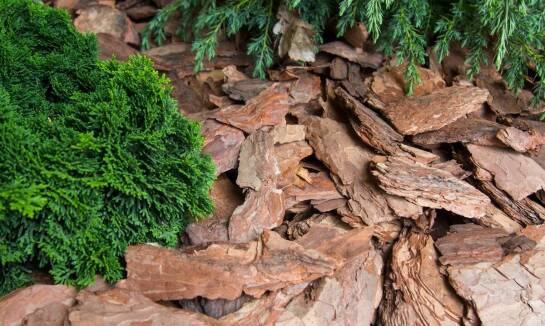 Poradnik: jak efektywnie wykorzystywać korę w różnych ogrodowych strefach?