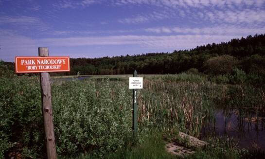 Letnie aktywności w okolicach apartamentów: turystyczne szlaki i kąpiele w potokach
