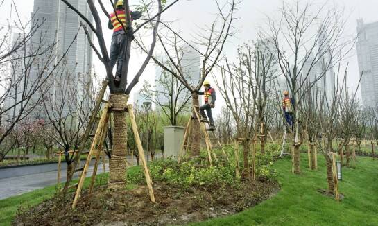 Jakie znaczenie ma leśna gospodarka w kontekście miejskim?