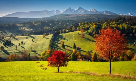 Jesienne kolory w Bieszczadach - wypoczynek w przytulnych domkach