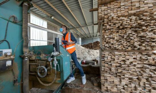 Wpływ jakości usług tartacznych na efektywność wykorzystania drewnianych materiałów