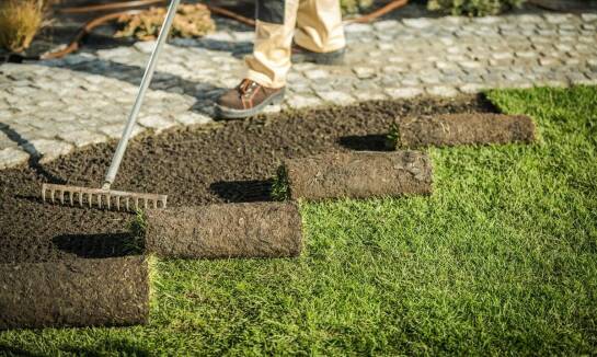 Porównanie metod piaskowania trawników – które najlepiej się sprawdzą?