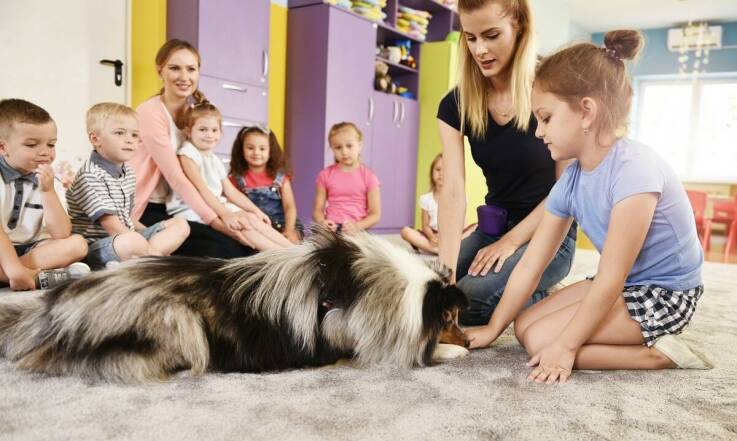 Jak wyglądają zajęcia logopedyczne i dogoterapia w przedszkolu dla maluchów