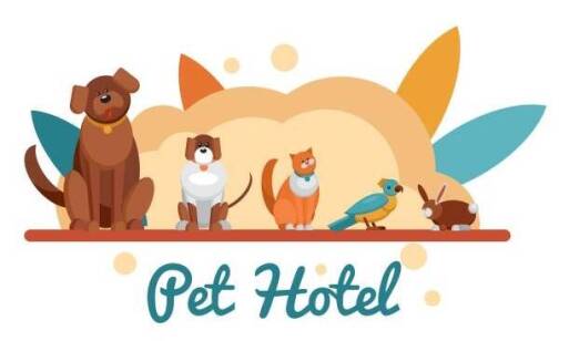 Od czego zależy cena pobytu średniego psa w przydomowym hotelu na Bałutach