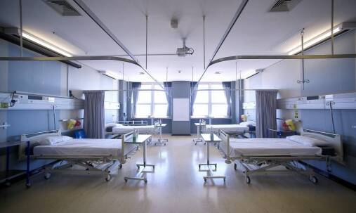 Kiedy zwierzę naprawdę wymaga hospitalizacji, a kiedy wystarczy leczenie ambulatoryjne
