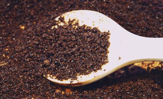 Jak zrobić nawóz z fusów kawy i naturalnie zasilać rośliny?