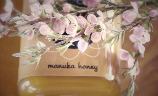 Tajemnica miodu Manuka: z czego jest zrobiony i dlaczego jest tak wyjątkowy?