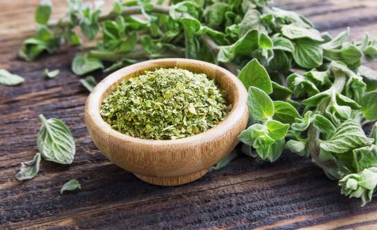 Jak zrobić olejek z oregano w domu? Prosty przepis na naturalny antybiotyk.