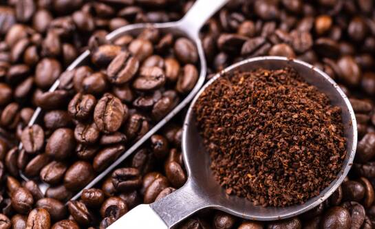 Ile jest gatunków kawy? Poznaj bogactwo świata kawowców.