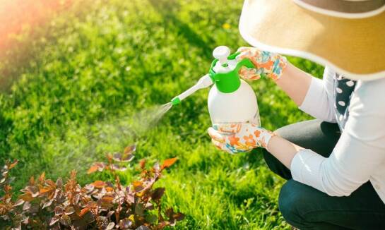 Dlaczego warto stosować profesjonalne środki chwastobójcze na trawnikach?