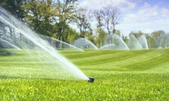 Sterownik nawadniania 6 sekcji – jak wpływa na zdrowie i wzrost roślin?