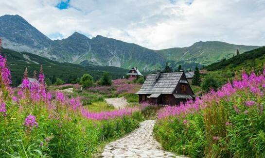 Kiedy najlepiej zarezerwować apartament w górach na sezon wakacyjny?