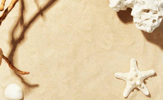 Kabaret Moralnego Niepokoju z kim spędza wakacje