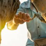 Proces konserwacji bram – jak zapewnić ich długowieczność?