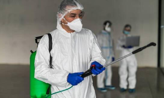 Usługi DDD w ochronie przed owadami i gryzoniami