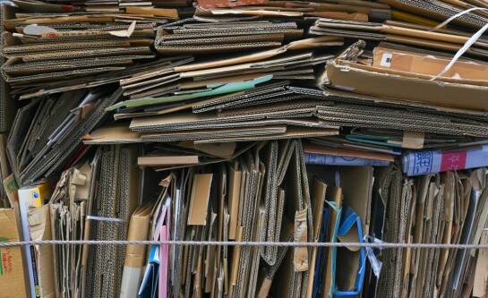 Gdzie wyrzucać karton po zakupach?