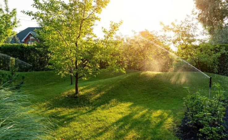 Jak pielęgnować świeżo założony trawnik, aby utrzymać jego zdrowie?
