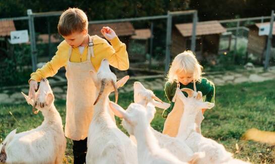 Mini zoo jako dodatkowa atrakcja na imprezy okolicznościowe dla dzieci