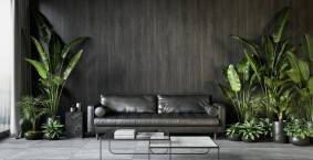 Czarna sofa – jakie dodatki dobrać, by wnętrze nie było zbyt ciemne?