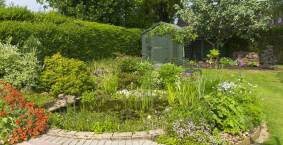 Aranżacje ogrodu: Co posadzić obok rododendronu?