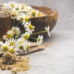 Jakie zioła warto pić i które zioła można mieszać?