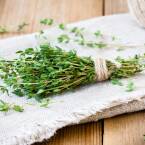 Jakie zioła na przeziębienie, wirusy i ból gardła?