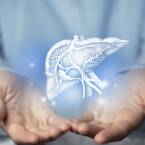 Jak oczyścić wątrobę ziołami? Naturalne sposoby wspierające zdrowie