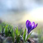 Jakiej firmy buty trekkingowe warto wybrać?