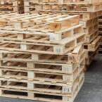 Ile kosztuje paleta w skupie?