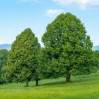 Czy warszawskie zoo jest otwarte?