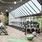 Gdzie kupić sprzęt do siłowni?