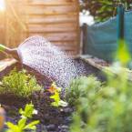 Jak zrobić skrzynię na warzywa z palet