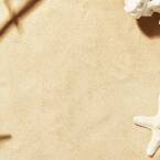 Kabaret Moralnego Niepokoju z kim spędza wakacje