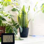 Jaka powinna być wilgotność powietrza w mieszkaniu?