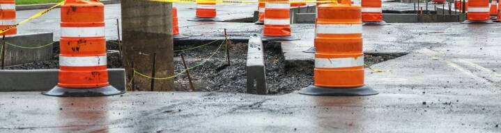 Gdzie zgłosić martwego kota?