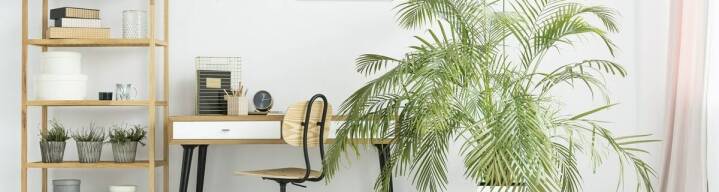 Jak dorobić w domu wykonując proste zajęcia