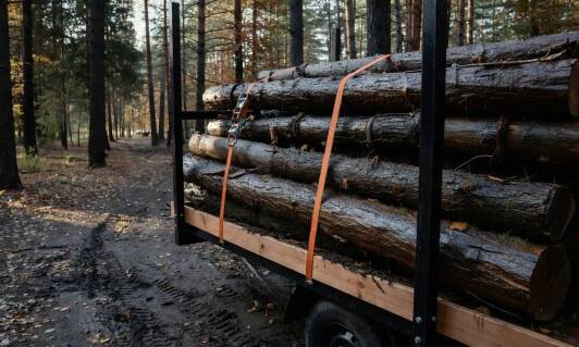 Jak wilgotność i okorowanie drewna zmieniają przygotowanie ładunku do transportu