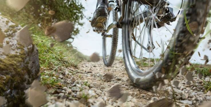 Koła 27,5 czy 29 cali w MTB Marin — co zmienia się na technicznych trasach