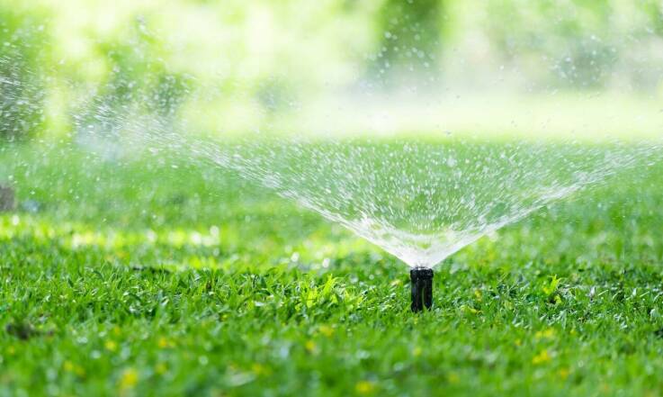 O jakiej porze dnia najlepiej podlewać trawnik?