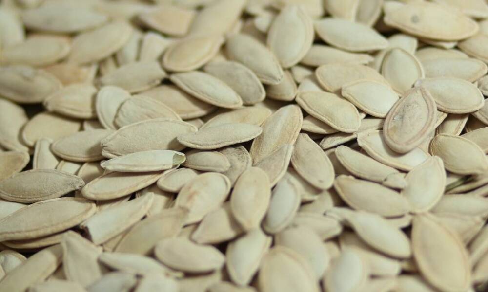 Jakie właściwości odżywcze ma dynia oleista?