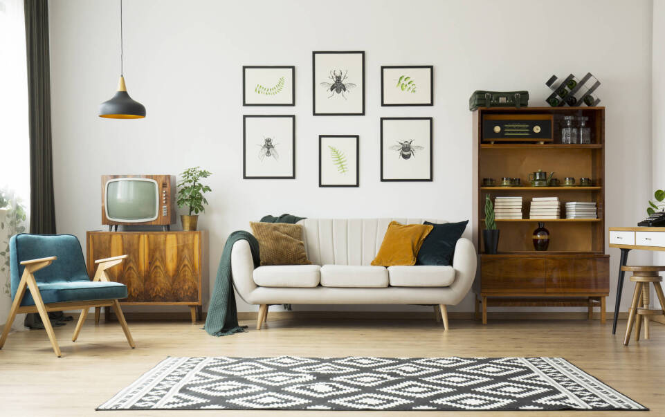 Jaki dywan do salonu wybrać?