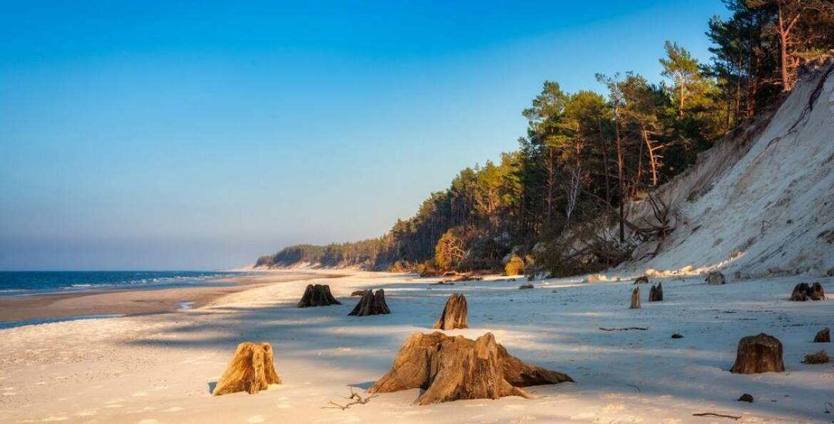 Znajdź dla siebie idealny hotel przy plaży w Rowach