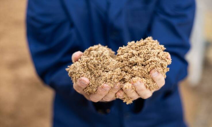 Dlaczego młóto browarniane najczęściej stosuje się latem?