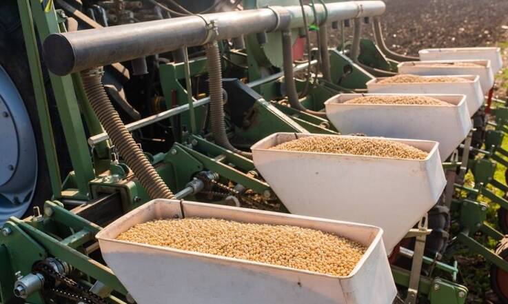 Czy materiał siewny warto kupić w sklepie internetowym?