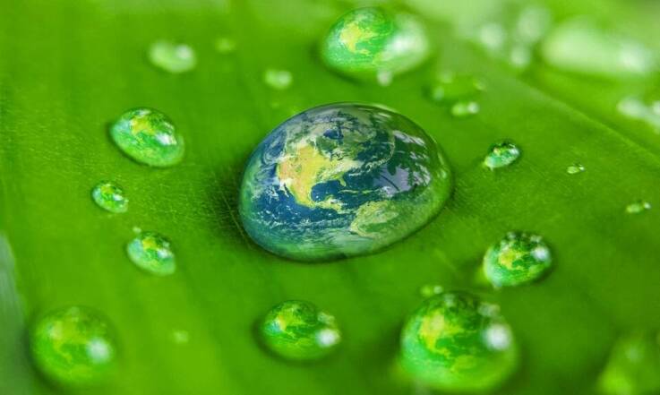 Biofiltr z płuczką - innowacyjne rozwiązanie w walce z zanieczyszczeniem powietrza